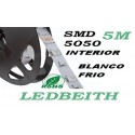 Tira de LED Flexible  SMD 5050 Color blanco FRIO