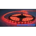 Tira de LED  Interior SMD 5050 Color ROJO